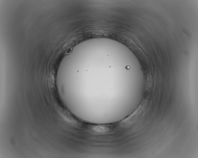 X0000115180183200911121809