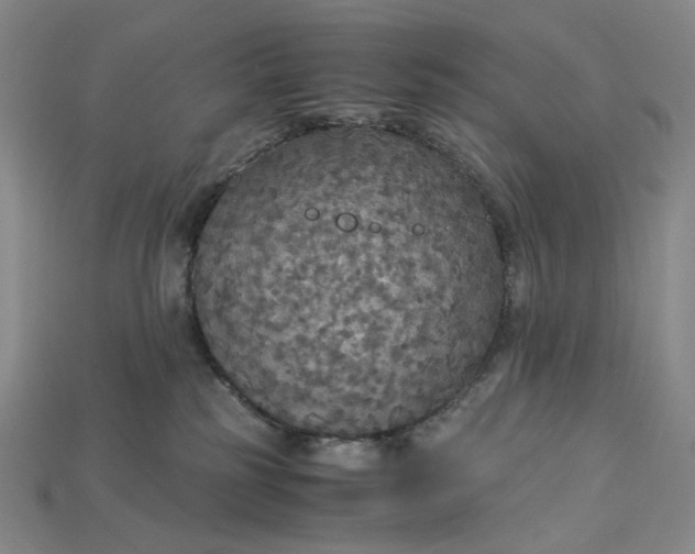 X0000115180185200911121809