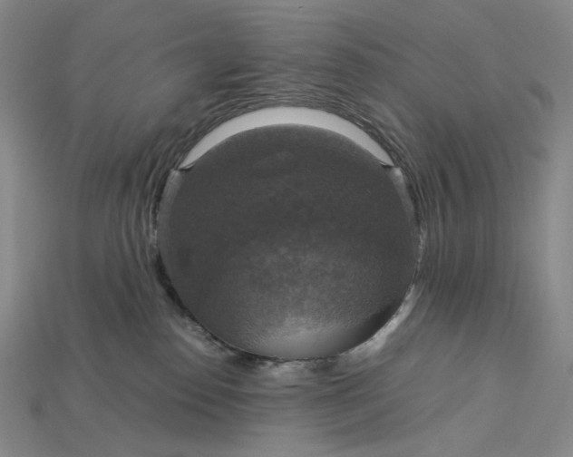X0000115180186200911121809