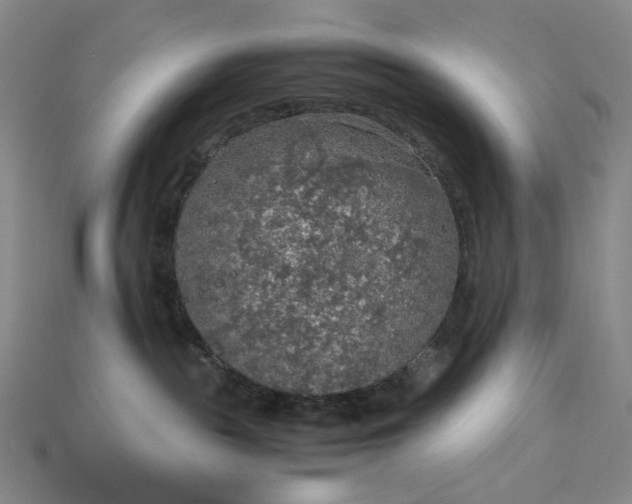 X0000115180189200911121809