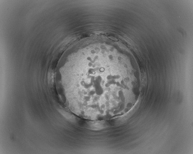 X0000115180191200911121809