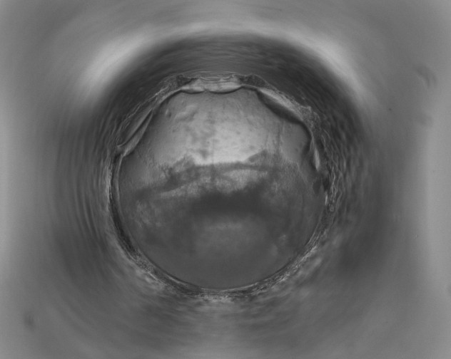 X0000115180194200911121808