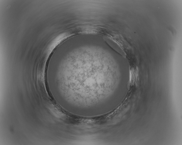 X0000115180195200911121808