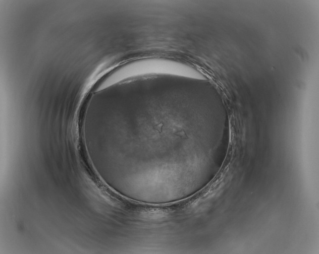X0000115180198200911121808