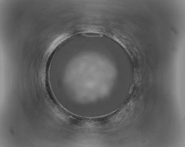 X0000115180199200911121808