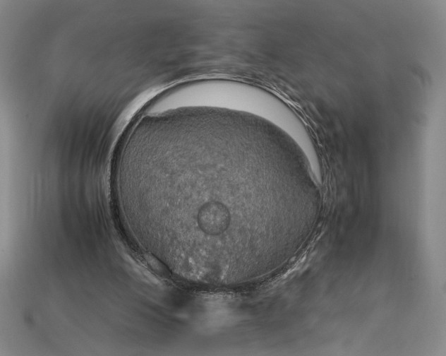 X0000115180200200911121808