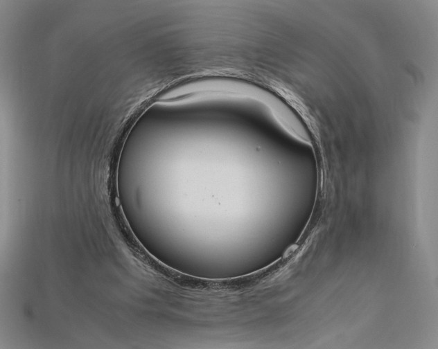 X0000115180201200911121808