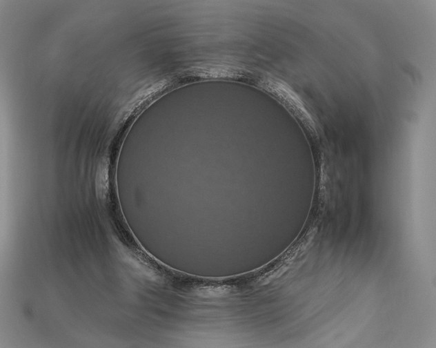X0000115180202200911121808
