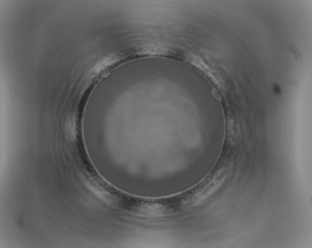 X0000115180203200911121808