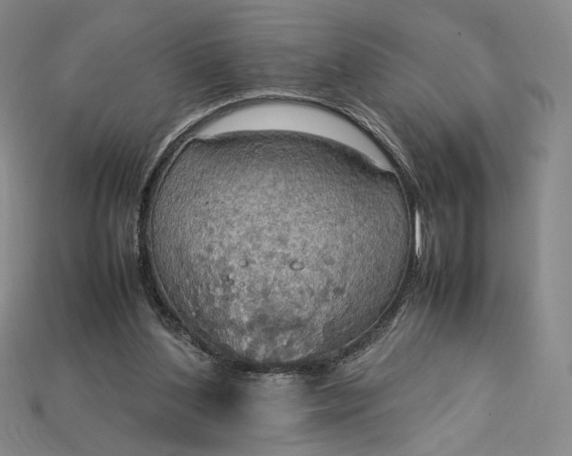 X0000115180204200911121808