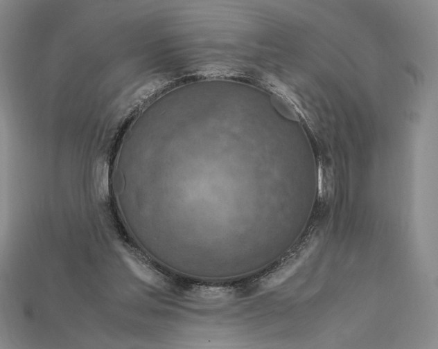 X0000115180205200911121808