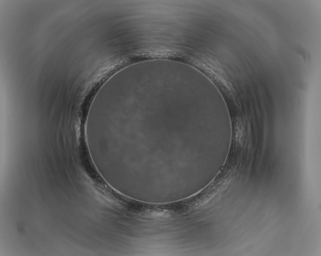 X0000115180206200911121808