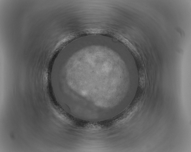 X0000115180207200911121808