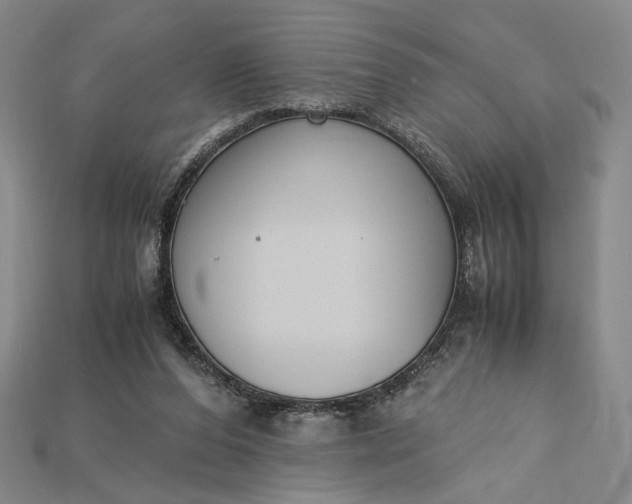 X0000115180208200911121808