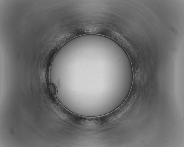 X0000115180209200911121808