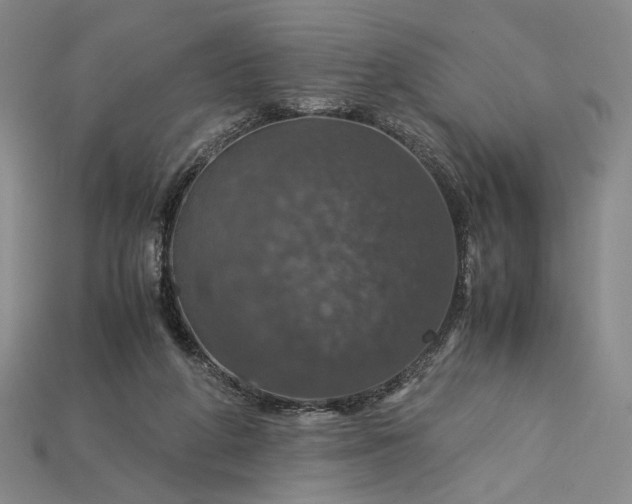 X0000115180210200911121808