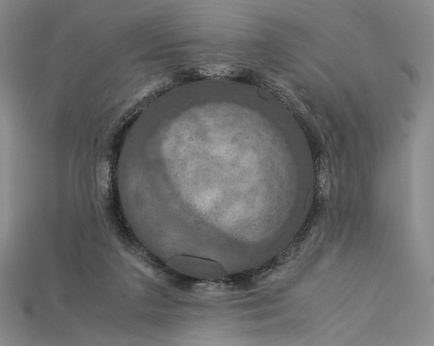 X0000115180211200911121808