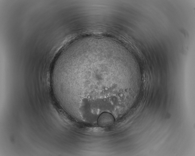 X0000115180212200911121808