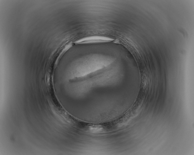 X0000115180214200911121808