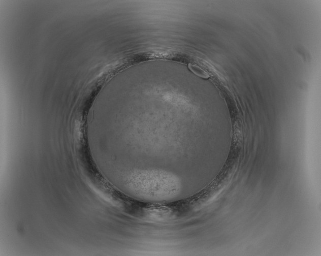X0000115180215200911121808
