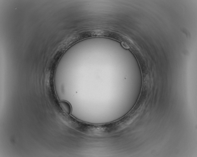 X0000115180217200911121808
