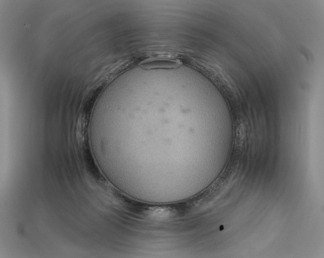 X0000115180218200911121808
