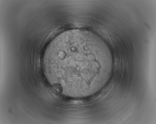 X0000115180220200911121808