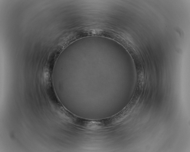 X0000115180222200911121808