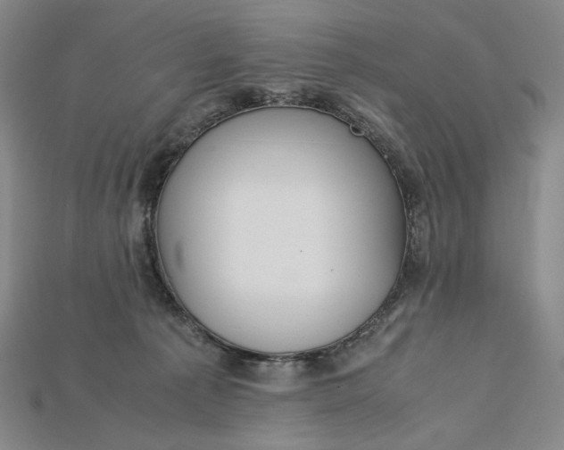 X0000115180225200911121808