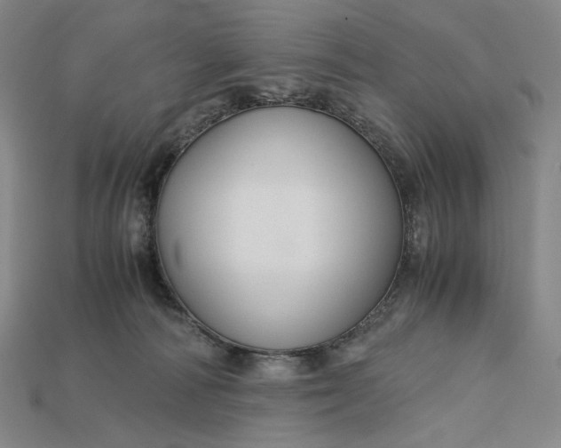X0000115180226200911121808