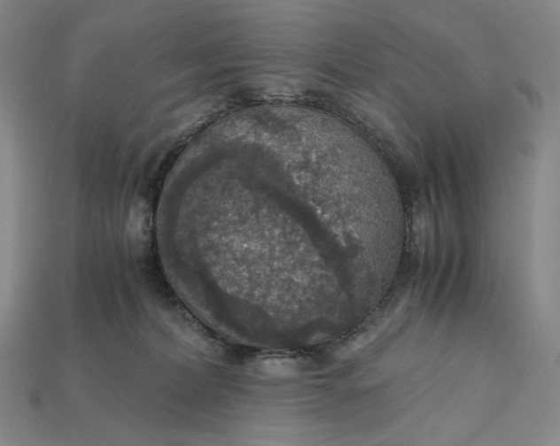 X0000115180228200911121808