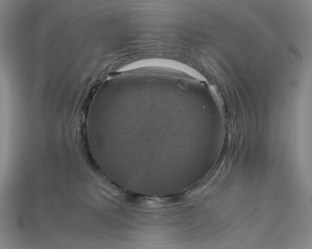 X0000115180229200911121808