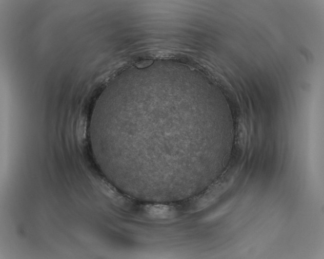 X0000115180230200911121808