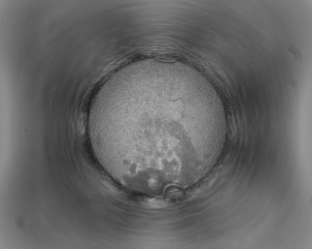 X0000115180232200911121808