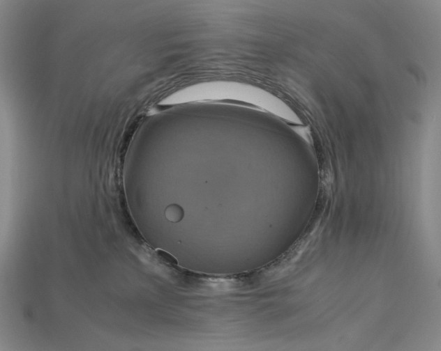 X0000115180233200911121808