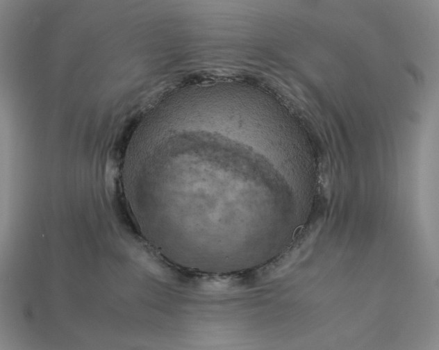X0000115180235200911121808