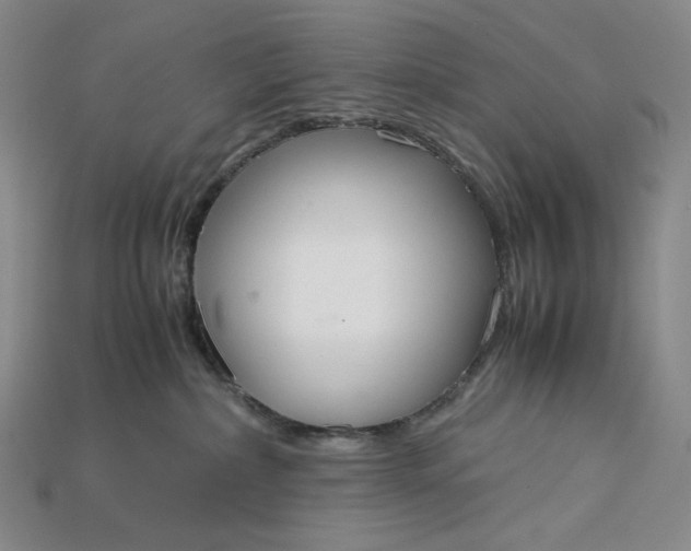 X0000115180236200911121808