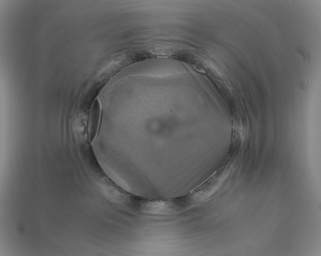 X0000115180237200911121808