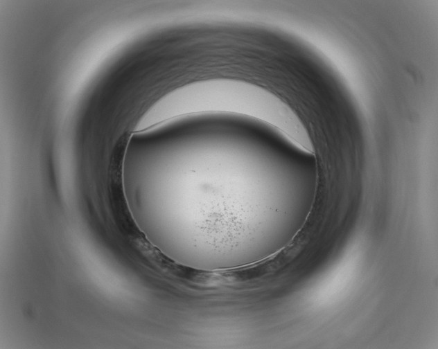 X0000115180239200911121808