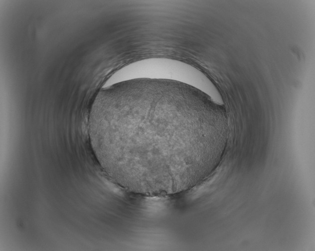 X0000115180240200911121808