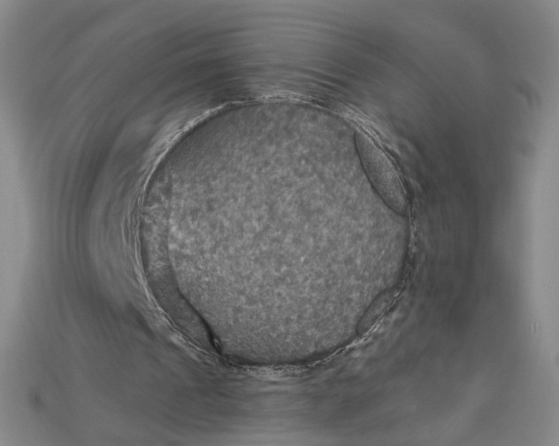 X0000115180241200911121807