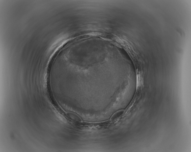 X0000115180243200911121807