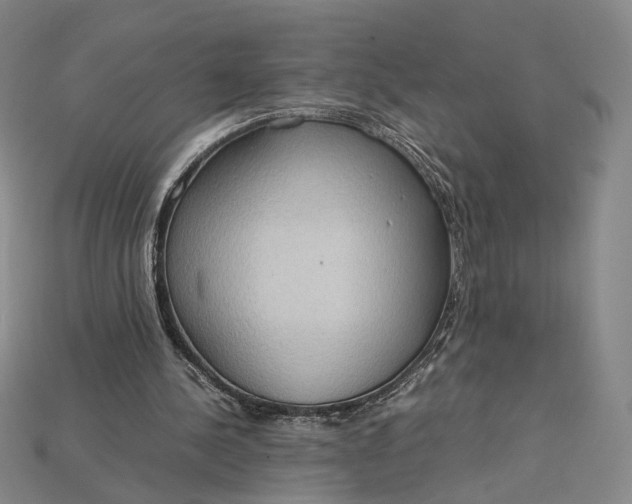 X0000115180244200911121807
