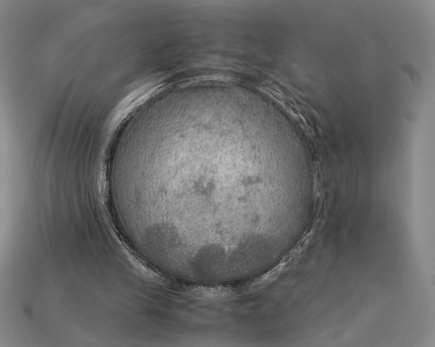 X0000115180245200911121807