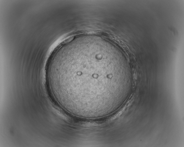 X0000115180246200911121807