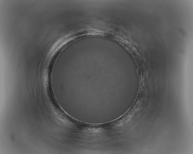 X0000115180247200911121807
