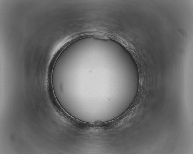 X0000115180248200911121807