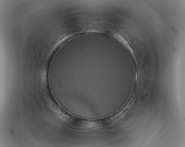 X0000115180249200911121807