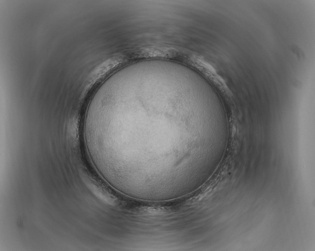 X0000115180250200911121807