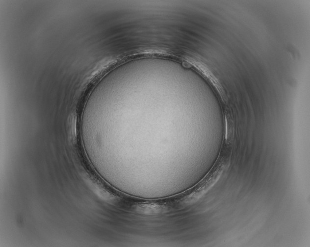 X0000115180253200911121807